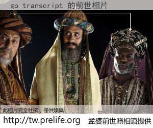go transcript 的前世相片