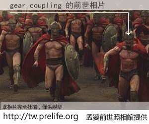 gear coupling 的前世相片