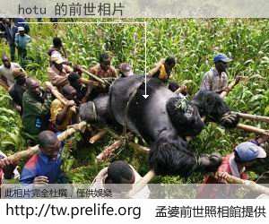 hotu 的前世相片
