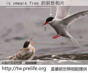 is vmware free 的前世相片