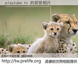 playtube tv 的前世相片