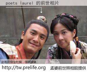 poets laurel 的前世相片