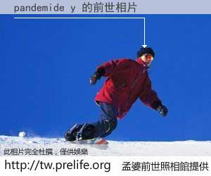 pandemide y 的前世相片