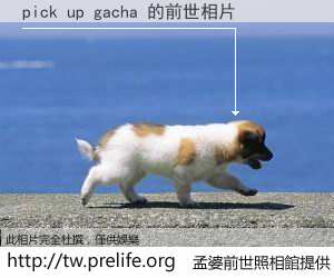 pick up gacha 的前世相片