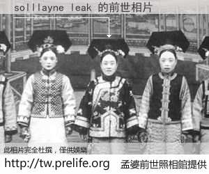 solllayne leak 的前世相片