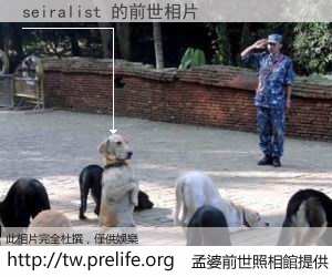 seiralist 的前世相片