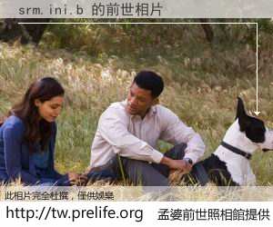 srm.ini.b 的前世相片