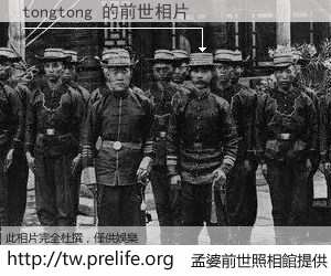 tongtong 的前世相片