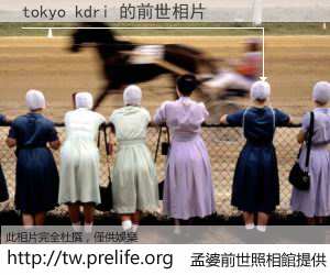 tokyo kdri 的前世相片