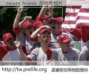 tecate brands 的前世相片