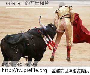 uehejej 的前世相片