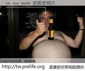 vw suv mode 的前世相片