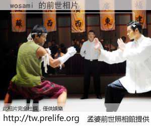 wosami 的前世相片