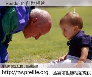 wosds 的前世相片