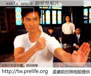 wakfu apple 的前世相片