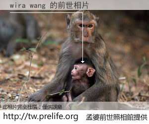 wira wang 的前世相片
