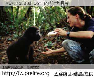 www.ad8838.com 的前世相片