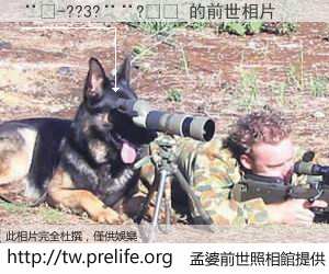 ��-??3?��?�� 的前世相片