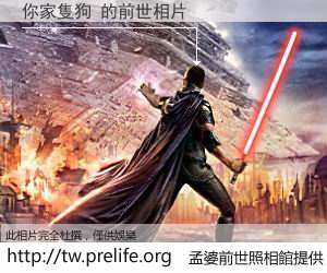 你家隻狗 的前世相片