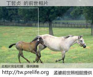 丁哲贞 的前世相片