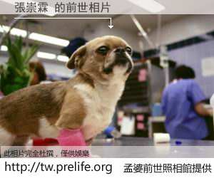 張崇霖 的前世相片