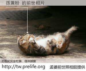 孫兼盼 的前世相片