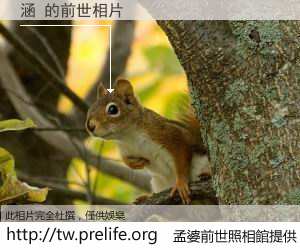 涵 的前世相片