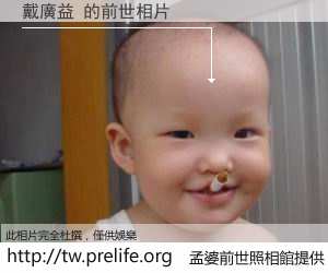 戴廣益 的前世相片