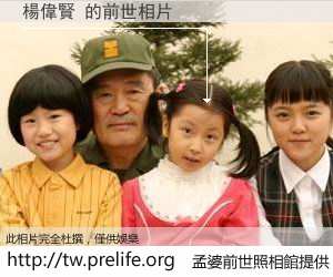 楊偉賢 的前世相片
