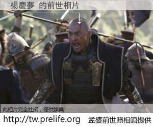 楊慶夢 的前世相片