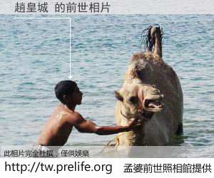 趙皇城 的前世相片