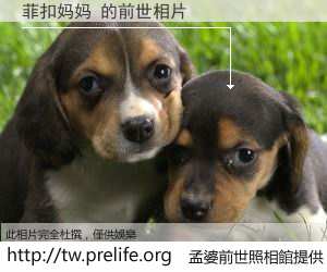 菲扣妈妈 的前世相片