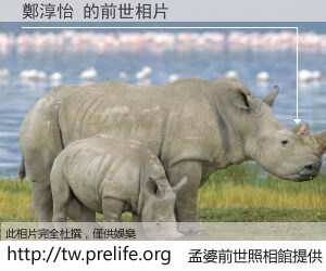 鄭淳怡 的前世相片