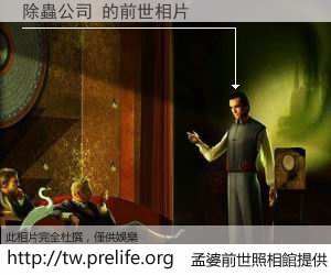 除蟲公司 的前世相片