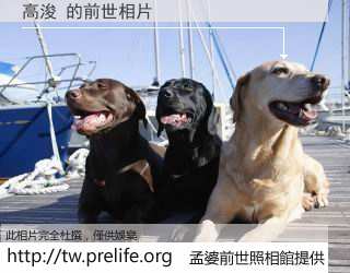 高浚 的前世相片