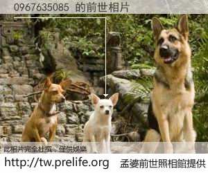 0967635085 的前世相片