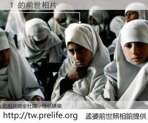 1 的前世相片