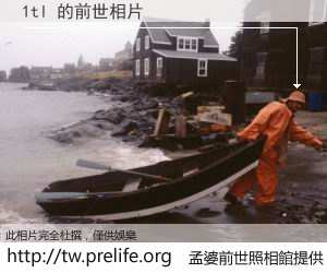 1tl 的前世相片