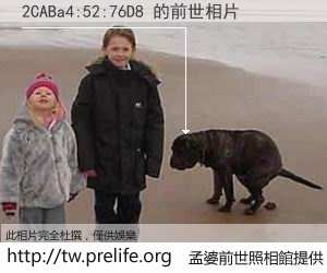 2CABa4:52:76D8 的前世相片