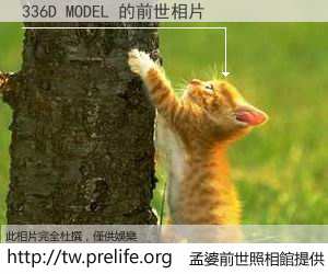 336D MODEL 的前世相片