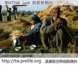 9547268 junk 的前世相片