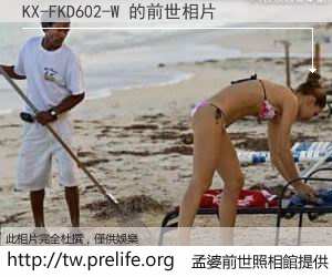 KX-FKD602-W 的前世相片