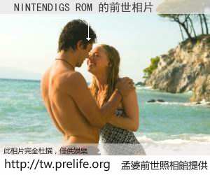 NINTENDIGS ROM 的前世相片