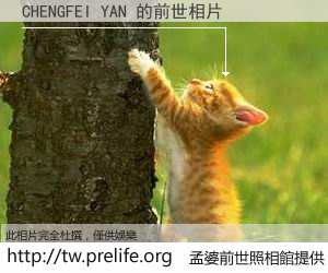 CHENGFEI YAN 的前世相片