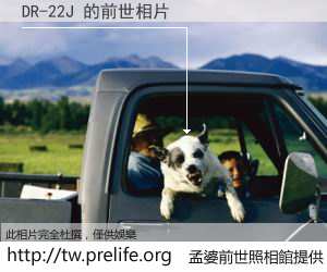 DR-22J 的前世相片