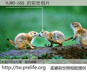 HJMO-688 的前世相片
