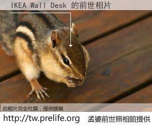 IKEA Wall Desk 的前世相片