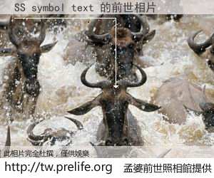 SS symbol text 的前世相片