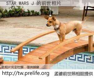 STAR WARS J 的前世相片