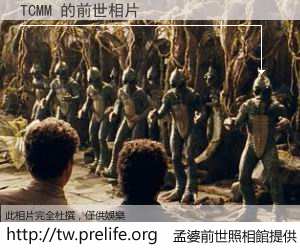 TCMM 的前世相片